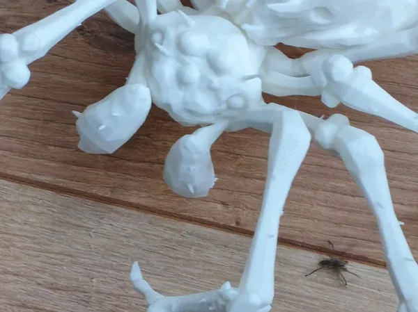 https://makerworld.bblmw.com/makerworld/model/USbc155f6ef09a57/design/ff922cd577ab942b.jpg