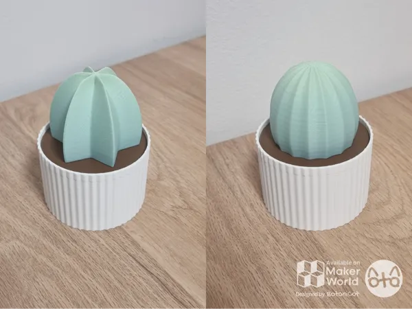https://makerworld.bblmw.com/makerworld/model/USbc195d239cd9ce/design/2025-01-21_1d224d99b5bc9.png