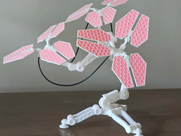 https://makerworld.bblmw.com/makerworld/model/USbc2461118fe73c/design/2025-06-18_c271d62c4c9a5.jpg