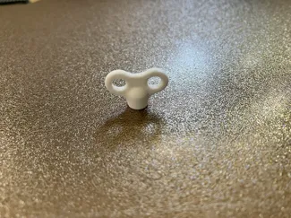 ぜんまい