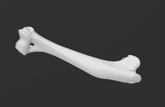 https://makerworld.bblmw.com/makerworld/model/USbc2c7c29d4d759/design/2024-01-29_3e9bd92be478c.png