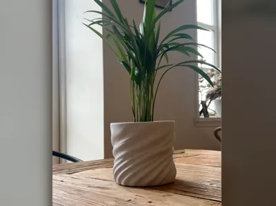 Twisted pot for plants