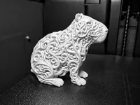 0.16mm layer, 2 walls, 15% infill
