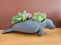 Manatee Swimming - Multi-Material
