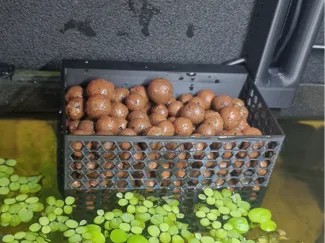 Aquaponic Case For Rimless Aquarium