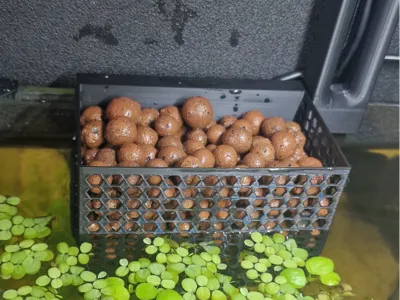 Aquaponic Case For Rimless Aquarium