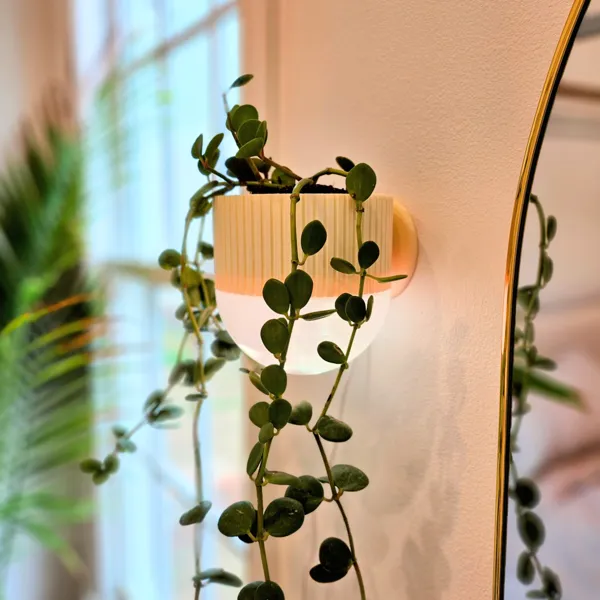 https://makerworld.bblmw.com/makerworld/model/USbc3b9f822bb6a1/design/2024-02-12_b791f1bf3f.jpg