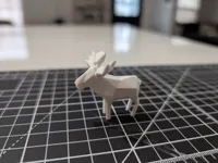 Élan mignon — photo 3