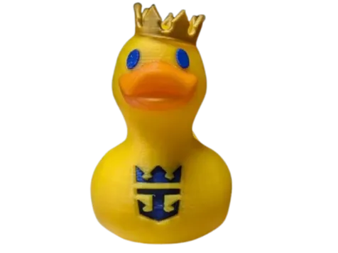 https://makerworld.bblmw.com/makerworld/model/USbc42bf0ab006a6/design/2024-09-17_6554acf2ae951.png