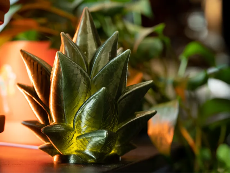 Succulent Lamp | Bambu LED 001 Kit