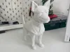 0.2mm nozzle, 0.1mm layer, 4 walls, 15% infill