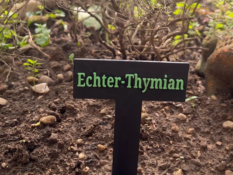 Thymian-Echter Sign/ Plant Schild