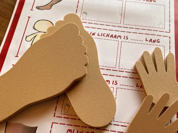 https://makerworld.bblmw.com/makerworld/model/USbc4eedef585f75/design/2026-01-19_8f2e76946467f.jpg
