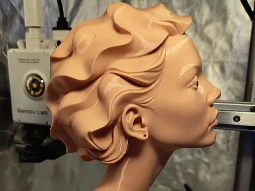 https://makerworld.bblmw.com/makerworld/model/USbc4f862629cc27/design/9231ab12b0fcdc1d.jpg