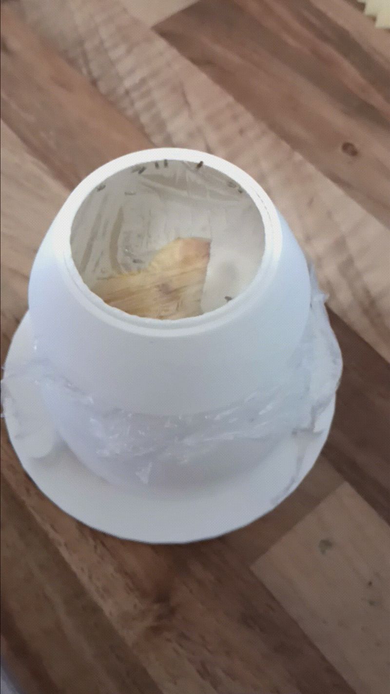 Ansa banaanikärpäsille/fruit fly trap