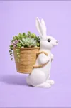 Planter