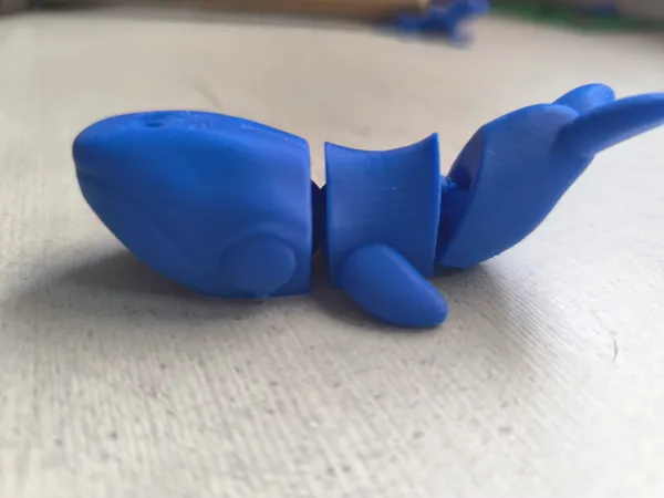 https://makerworld.bblmw.com/makerworld/model/USbc55f35e81a4cd/design/2025-09-13_c0adc2c3150d78.jpg