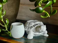 Pot de fleurs tortue réaliste — photo 4