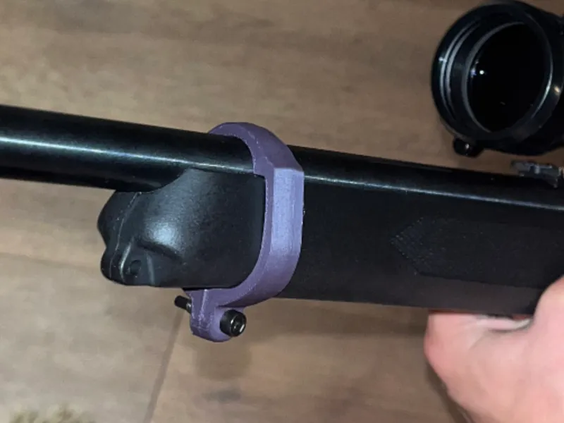 Ruger 1022 Barrel Band