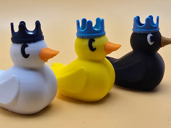 https://makerworld.bblmw.com/makerworld/model/USbc5fa2bc7deb6d/design/2025-01-30_92c241bcdf02.jpg