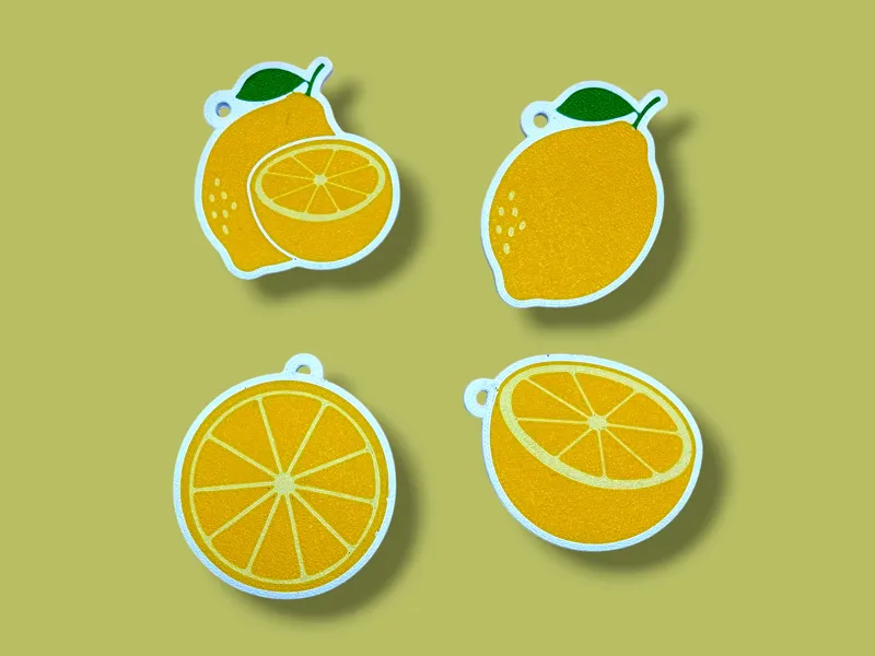 Citrus Lemon Keychain Sets