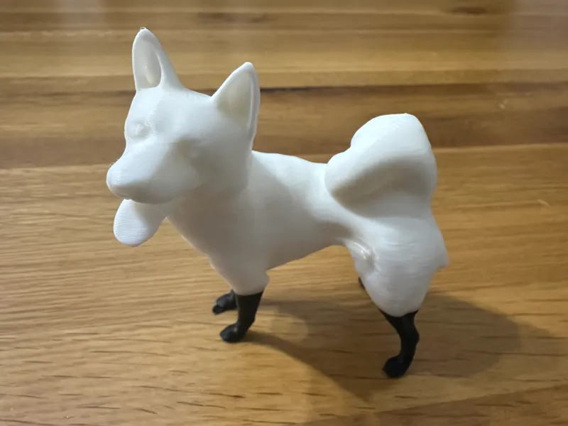 This dog is Maro