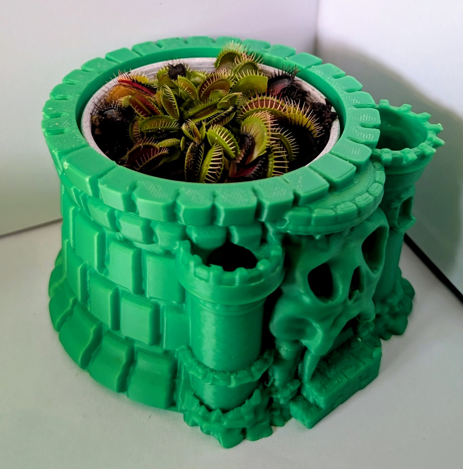 View 4