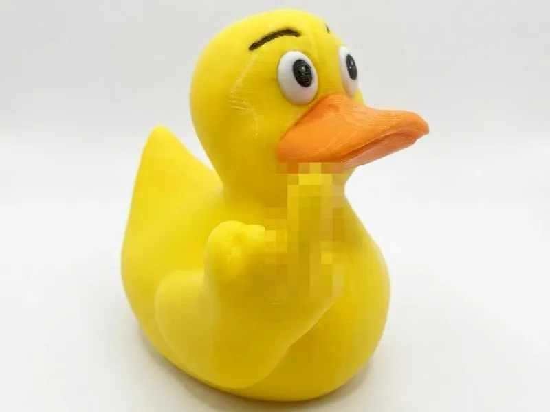 Duck you !