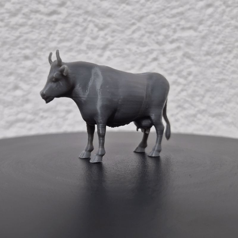 Miniature Cow 