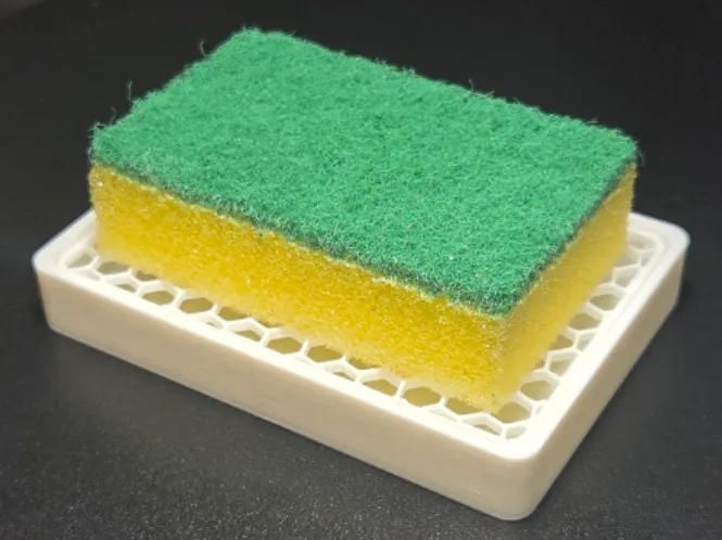 Sponge dryer