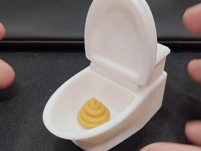 Flush Hard, Poop Still Won’t Fly