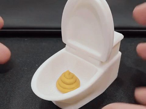 Flush Hard, Poop Still Won’t Fly