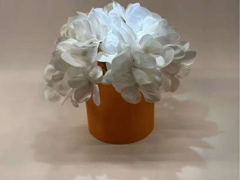 Plant Pot