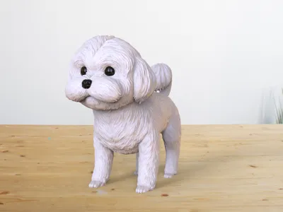 My cute puppy (Maltese)