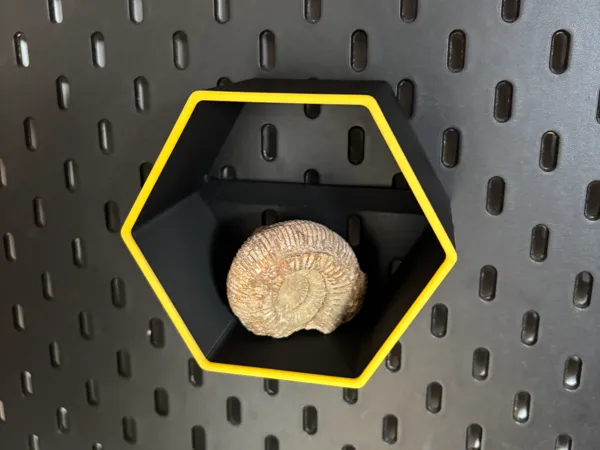 https://makerworld.bblmw.com/makerworld/model/USbc7df924138a47/design/b88aa4d06a6f1df5.jpg