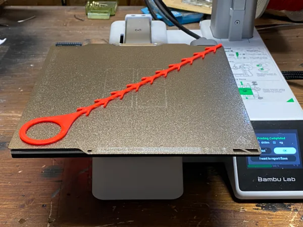 https://makerworld.bblmw.com/makerworld/model/USbc7fc094b59401/design/2024-12-19_a17c9e38b1b6c8.jpeg