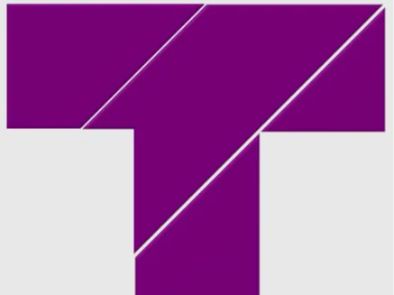T puzzle