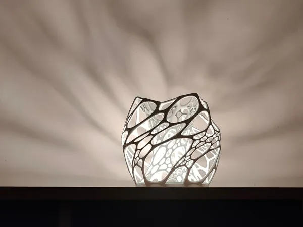 https://makerworld.bblmw.com/makerworld/model/USbc889eecbd38f9/design/2026-01-19_1a74115706604.jpeg