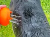 0.2mm layer, 3 walls, 15% infill (PLA)