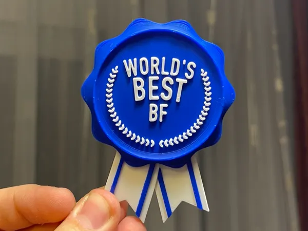 https://makerworld.bblmw.com/makerworld/model/USbc8a74e705bf25/design/2024-05-11_89db5ac3b711a.jpg
