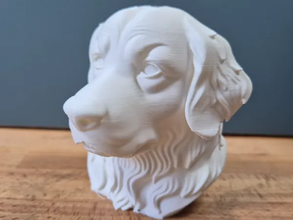 https://makerworld.bblmw.com/makerworld/model/USbc8aa96bc13a93/design/2025-05-14_241831fde05928.jpg