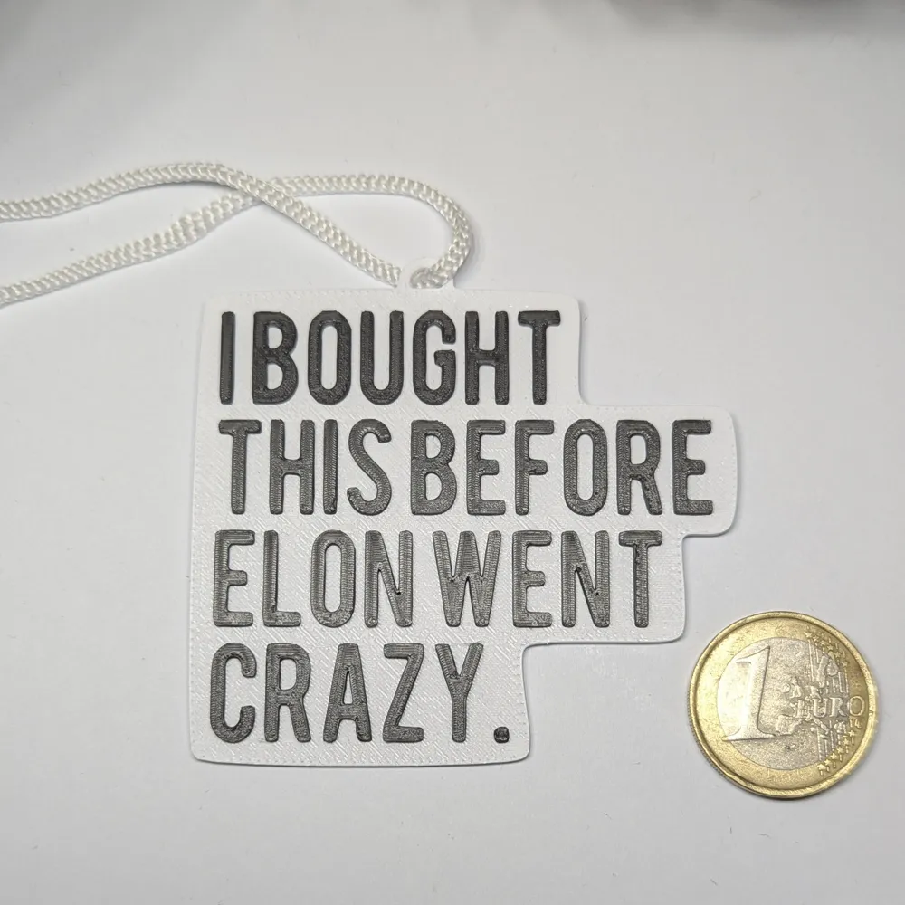 Autocollant Voiture Humoristique 'I BOUGHT THIS BEFORE ELON WENT CRAZY' - Vinyle Résistant Aux UV - 11,5x5,5 Cm Avec Spatule