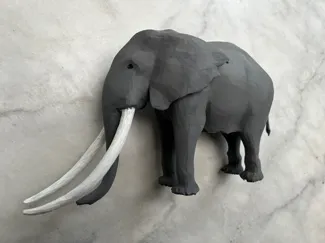 Eléphant d'Afrique