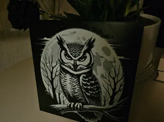 Owl Hueforge (Black/White)