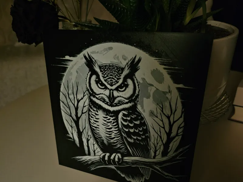 Owl Hueforge (Black/White)