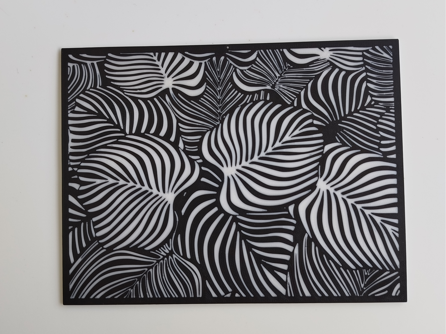 Monstera Blätterbild