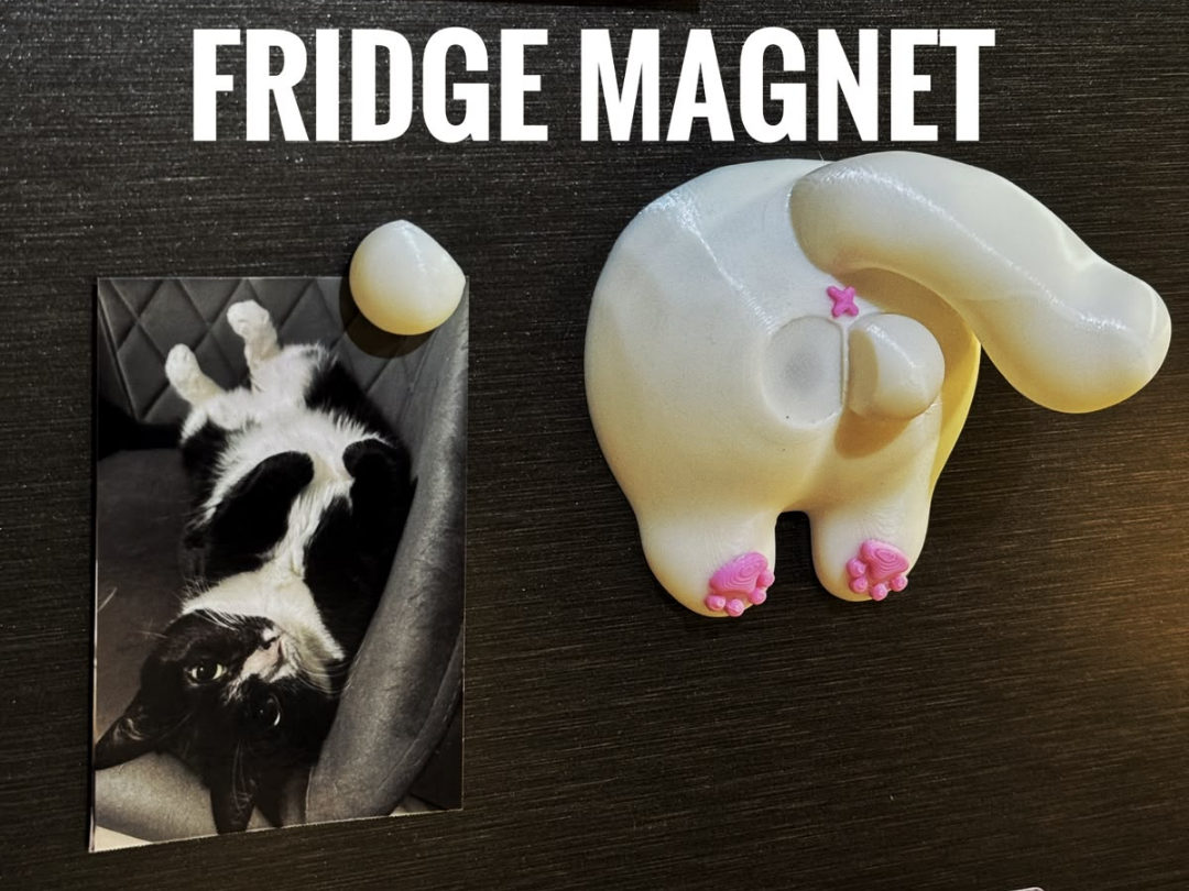 Funny Cat Fridge Magnet