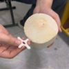0.16mm layer, 4 walls, 15% infill