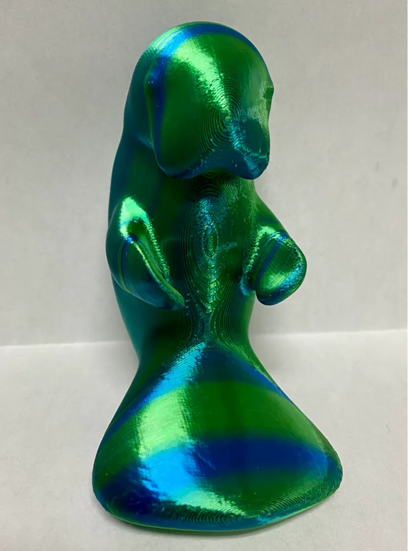 Manatee Magnet 