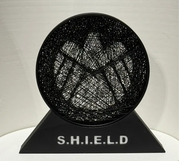 https://makerworld.bblmw.com/makerworld/model/USbc99546bd2c0fd/design/2025-01-02_625b4e94a19b88.jpg